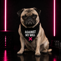 Clip-On Pet Bandana — "Against My Will" Graphic Dog Scarf (Black)